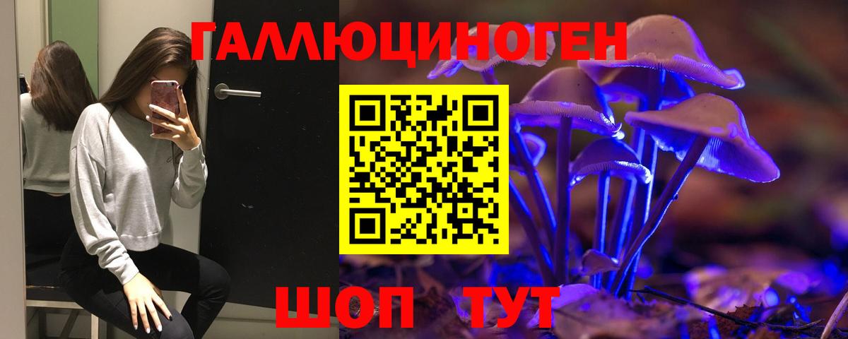 Заводоуковск  Псилоцибиновые грибы Psilocybe  Вход с VPN 