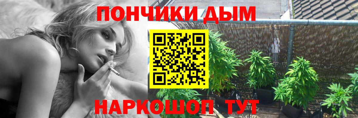 Бошки марихуана Ganja  Вход с VPN  Каннабис планчик  Заводоуковск  Шишки марихуана гибрид 